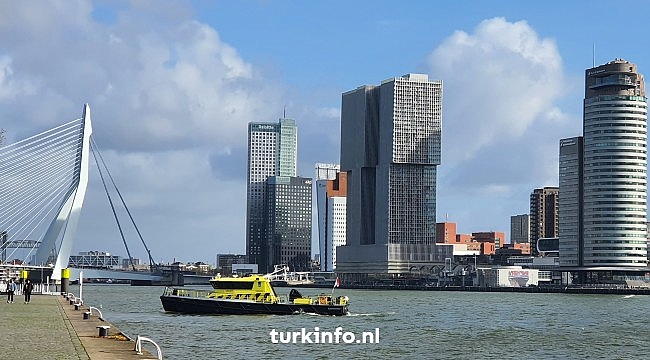 Hollanda'da bu hafta gündem yoğun