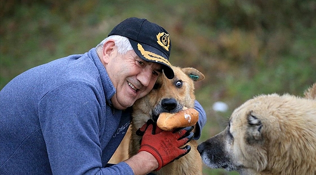 Tedaviyle gözlerini açtırdığı köpek hayat ışığı oldu