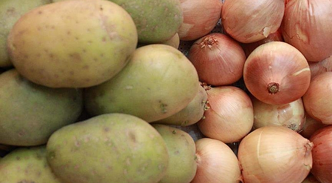 Hollanda geçen yıl 1,5 ton soğan, 3,3 milyon ton patates üretti