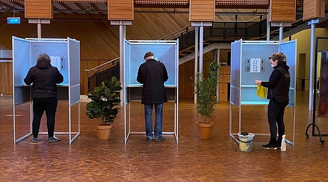 Hollanda'da yerel seçimlerinde oy verme işlemi devam ediyor