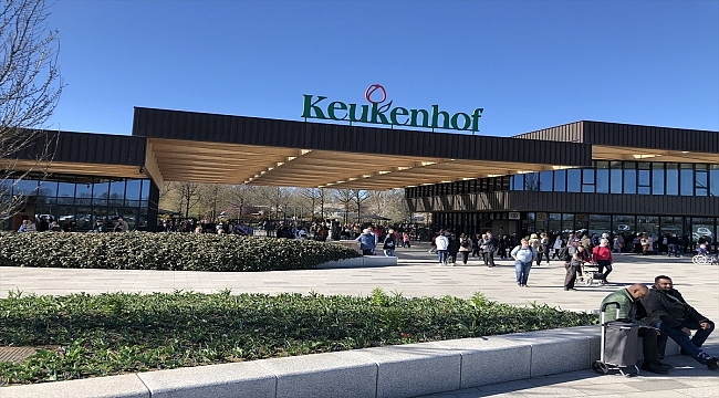 Hollanda'nın lale bahçesi Keukenhof, Kovid-19 kısıtlamalarının ardından yeniden açıldı