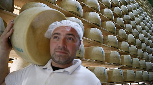 Almanya'da hırsızlar park halindeki kamyondan 230 kilo peynir çaldı