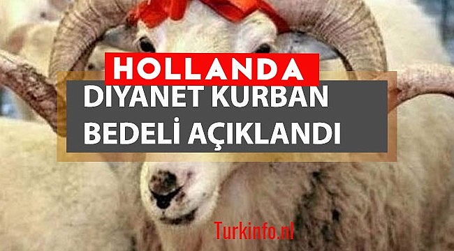 Hollanda ve Yurtdışı Kurban Ücretleri Belli Oldu, kurban bağış fiyatı 2022