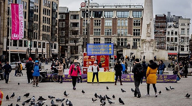 Hollanda'da ödenek alanların sayısı azalmaya devam ediyor