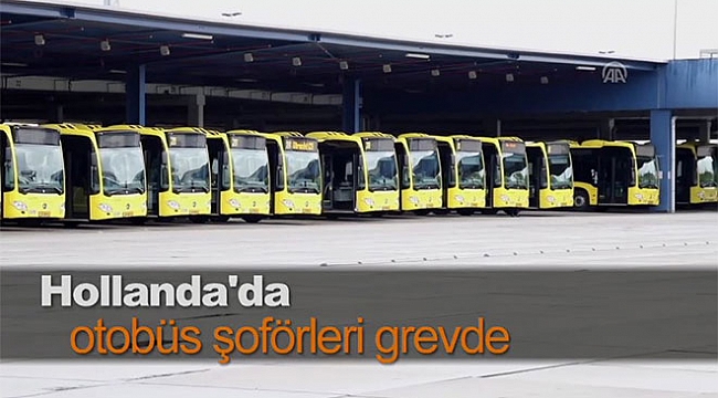 Hollanda'da otobüs şoförlerinden grev