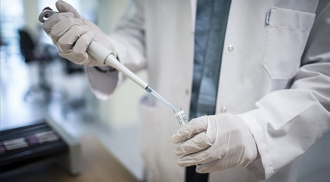 Hollanda'da maymun çiçeği virüsü aşısı başladı