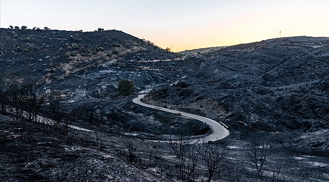 Hollandalı firma İspanya'daki orman yangınından sorumlu olduğunu açıkladı