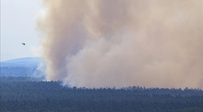 Almanya'da en fazla ormanlık alan bu yılki yangınlarda kül oldu