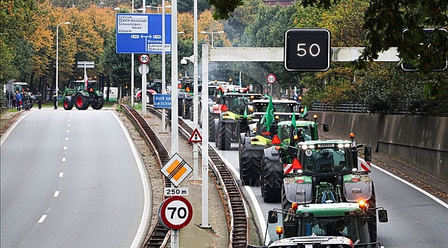 Hollanda hükümeti eyaletler aracılığıyla yoğun nitrojen oluşturan besi çiftliklerini satın alıyor