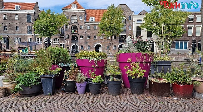 Hollanda'da ipotek faizi son 8 yılın en yüksek seviyesinde
