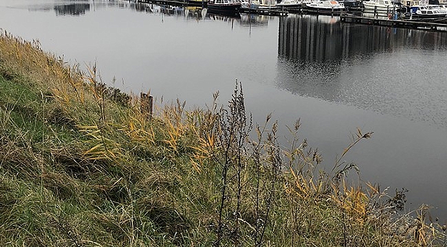 Hollanda Rotterdam'da düğünden dönen aile kayıp aile nehirde ölü olarak bulundu