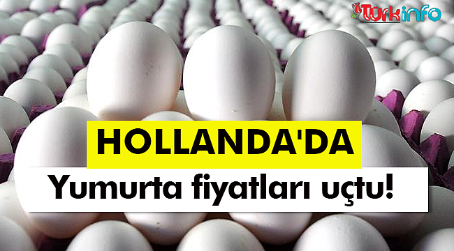 Hollanda’da Kuş Gribi ve Savaş Nedeniyle Yumurta Fiyatları uçtu!