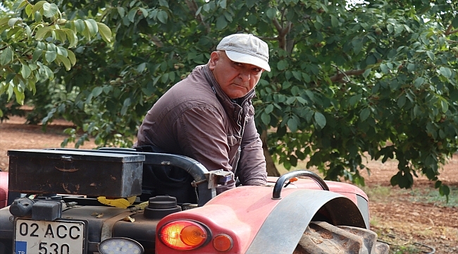 İsviçre'den dönen gurbetçi, köyünde ceviz ve badem üretiyor 