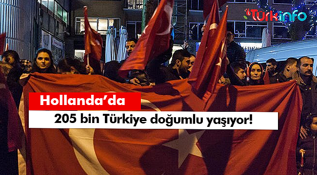 Hollanda’da 205 bin Türkiye doğumlu yaşıyor