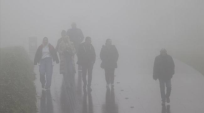 Hollanda'da Cuma sabahı için yoğun sis ve don uyarısı