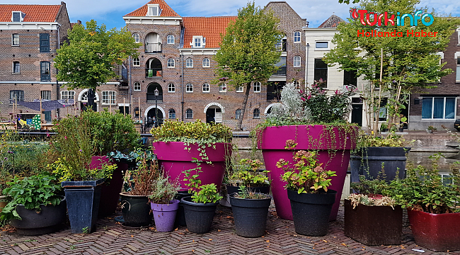 Hollanda'da evlerin kadastro değeri "WOZ-waarde" yüzde 17 yükseldi