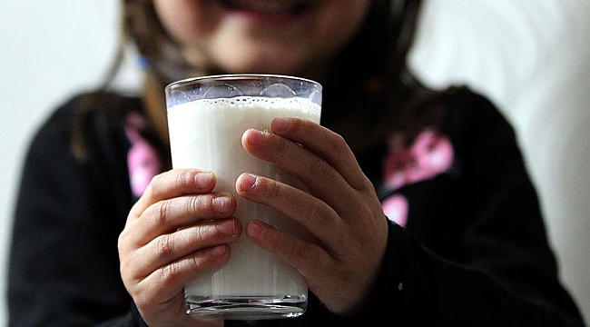 Bilim adamlarına göre süt içmek insan vücudunu büyütüyor!