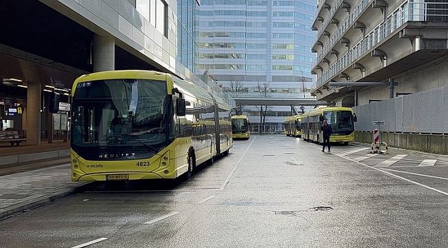 Hollanda'da otobüs şoförleri 5 günlük büyük greve gidiyor!