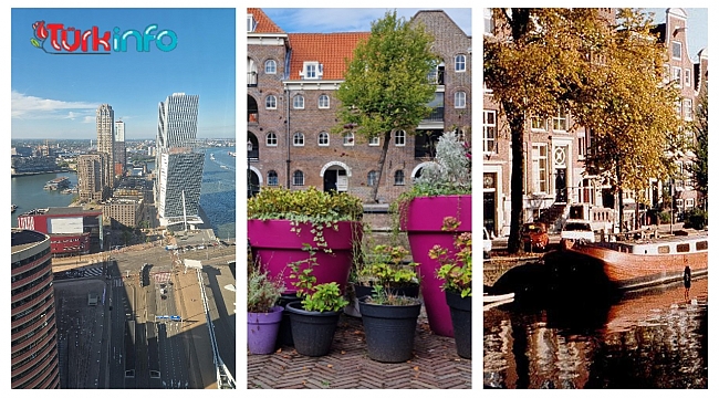 Nüfusuna göre Hollanda şehirleri, Hollanda'nın en büyük 20 şehri