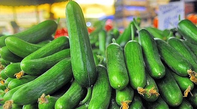 Almanya'da yüksek enflasyonun simgesi olan salatalık konusunda Hollanda sessiz