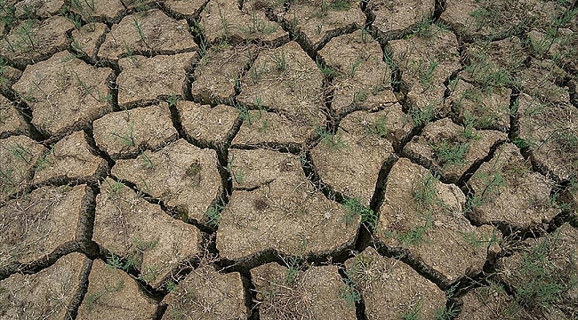 Bol yağış alan Hollanda bu sene kuraklık yaşamayacak