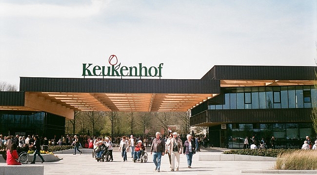 Dünyanın en güzel bahar parkı Keukenhof kapılarını açtı!