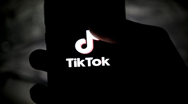 Hollanda, kamuya ait telefonlarda TikTok'un kullanılması yasaklandı