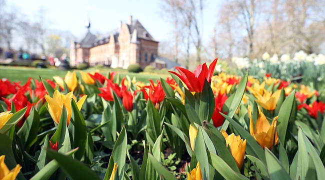 Brüksel'de 20. uluslararası çiçek sergisi ziyarete açıldı