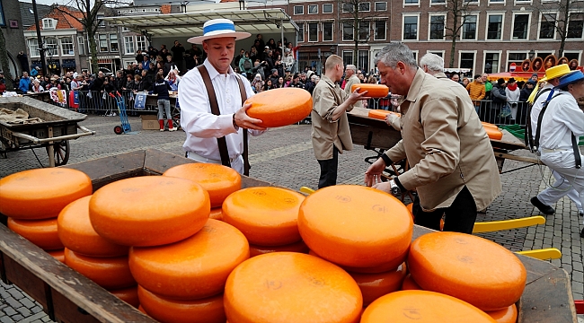 Hollanda'daki geleneksel peynir festivalinden renkli görüntüler