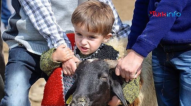 Hollanda Kurban kesim bedeli belli oldu 2023: Diyanet açıkladı