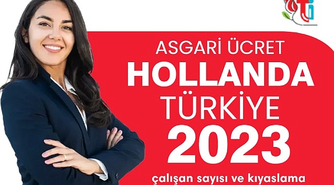 Asgari ücret Hollanda, Türkiye, çalışan sayısı ve kıyaslama