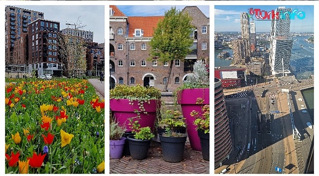 Hollanda’da isteyen istediğine ev satamayacak