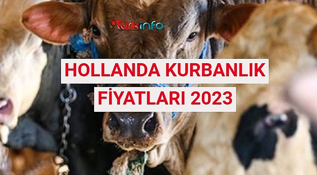 Hollanda kurban fiyatları 2023