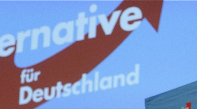 Aşırı sağcı "Almanya için Alternatif Partisi"nin anketlerde yükselişi sürüyor