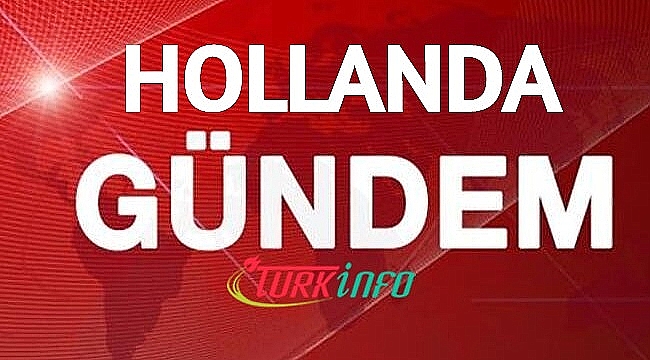 Hollanda'da hükümeti düşüren anlaşmazlık neydi ve perde arkasında ne var?