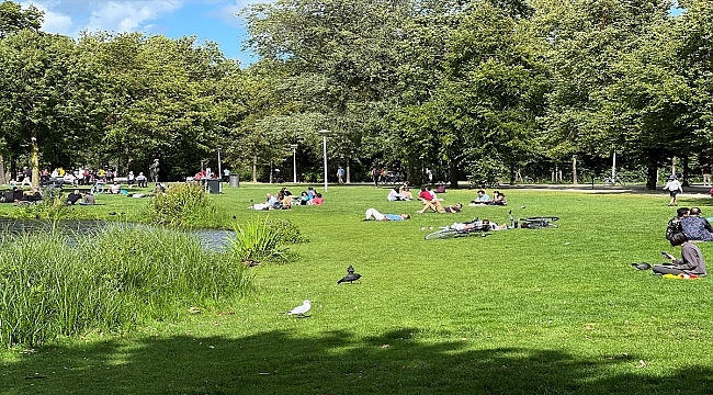 Amsterdam'ın "hiç uyumayan" parkı: Vondelpark