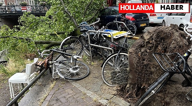 Hollanda'da Fırtına Uyarısı: Evden Çalışın, Trafikten Kaçının!