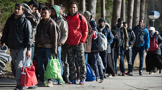Hollanda'da Sığınmacıların Çalışma Hakları Genişliyor: 24 Hafta Kuralı İptal Edildi