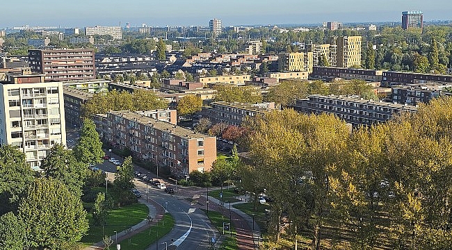 Vlaardingen'da 10 Yaşındaki Evlat Edinilen Kız Çocuğuna Ağır Şiddet Uygulayan Çift Tutuklandı