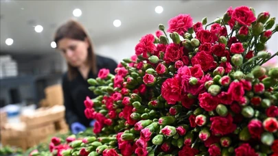 Anneler Günü İçin 30 Ülkeye Çiçek İhraç Edildi: En Büyük Alıcı Hollanda Oldu