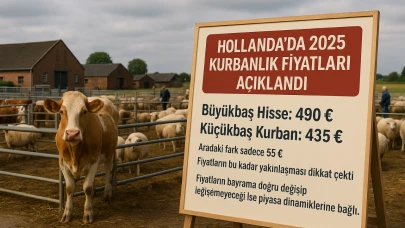 Hollanda’da 2025 yılı kurban fiyatları belli oldu
