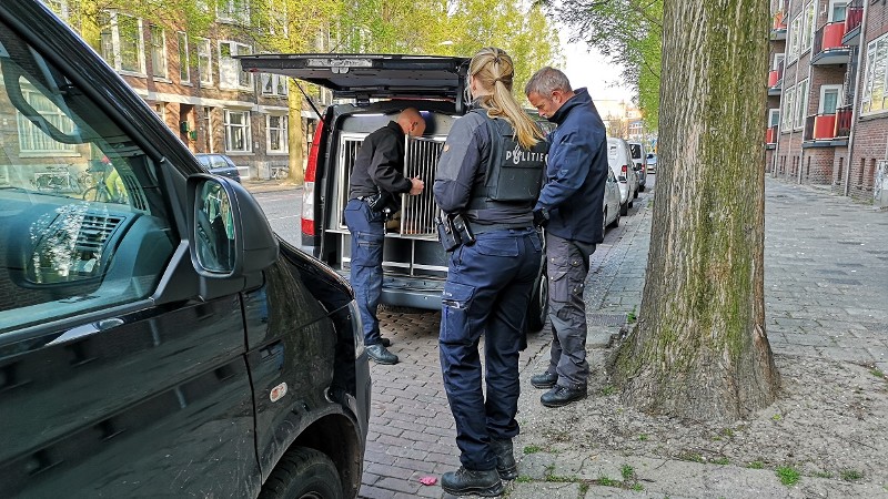 Aanhoudingen voor zedenmisdrijven Rotterdam-West en Schiedam-Oost