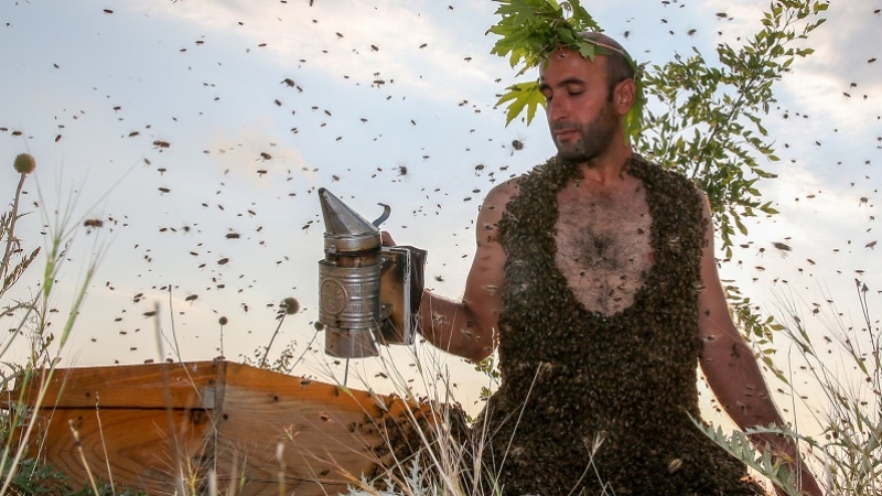 Arı Adam"ın hedefi Guinness'e girmek