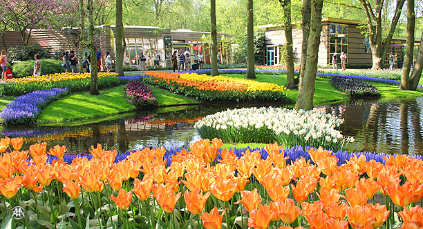 Hollanda turizm tanıtımı yapmayacak