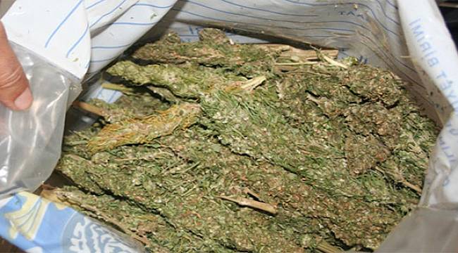Oud-Beijerland’da Yapılan Operasyonda 7 Kişi Tutuklandı!