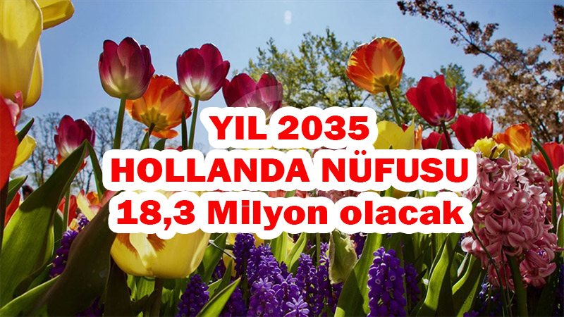 Hollanda nüfusu 2035 yılında 1 milyon kişi artarak 18 milyon 300 bin olacak
