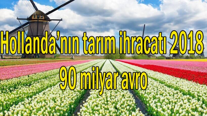Hollanda tarım ihracatı 2018: 90 milyar avro