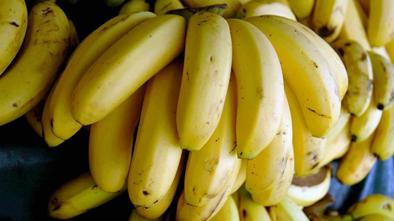 Rotterdam Limanında 720 Kilo kokain ele geçirildi