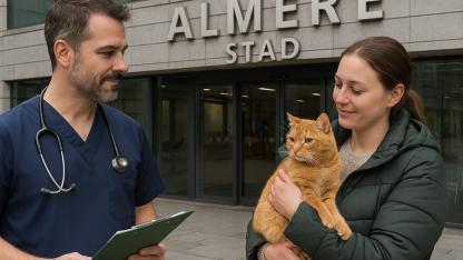 Almere Belediyesi’nden Düşük Gelirli Kedi Sahiplerine Ücretsiz Kısırlaştırma Desteği