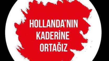 Oyunuzu kullanın!
